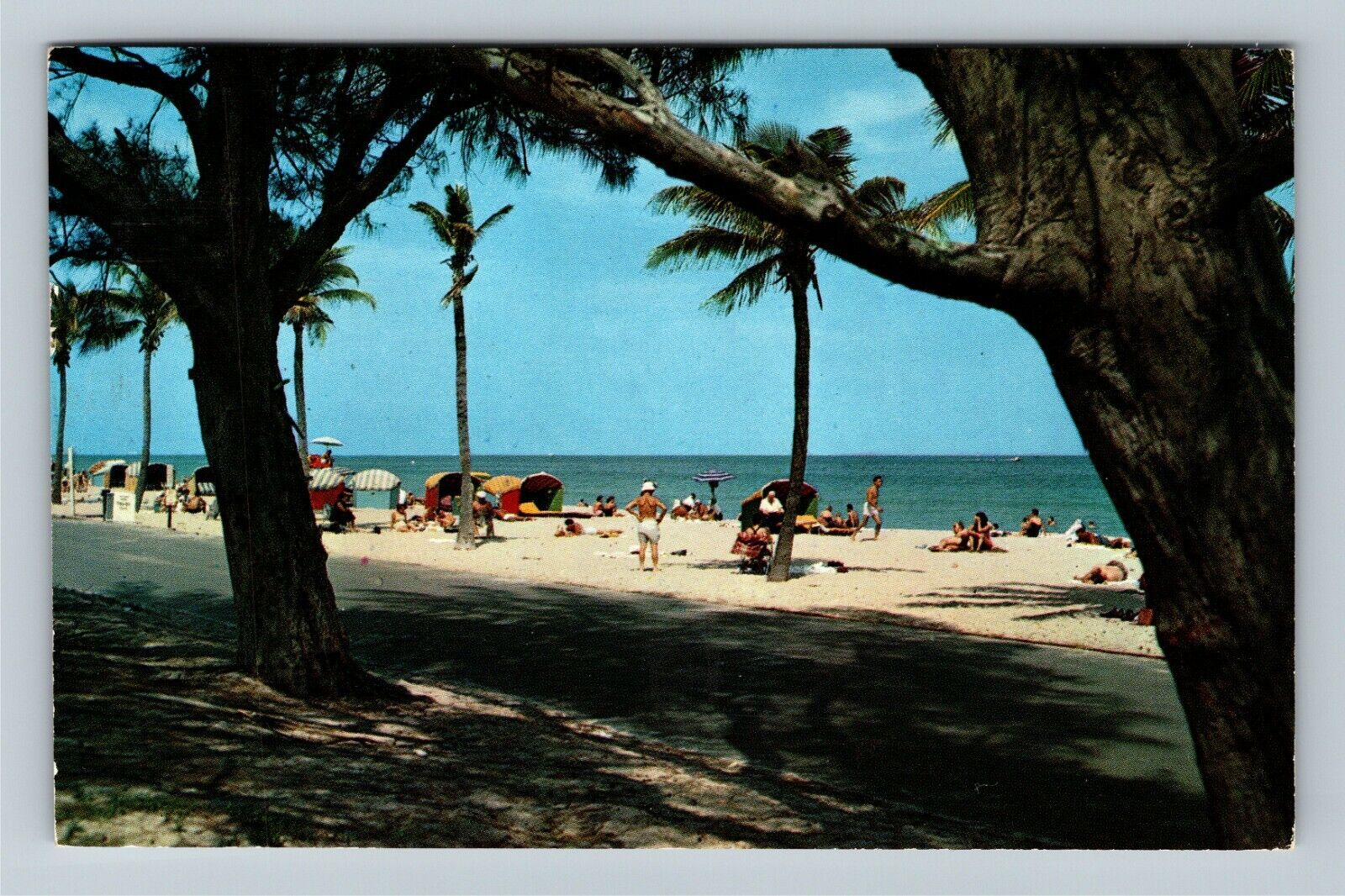 Hollywood FL-Florida, Beautiful Atlantic Beach Sunbathing Vintage c1962 Postcard