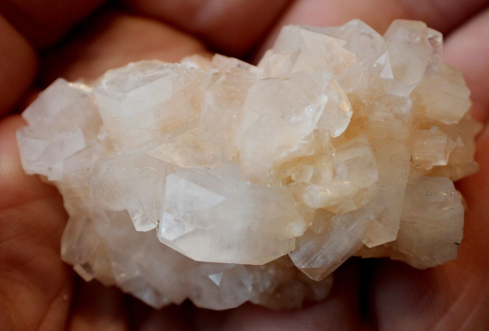 clear Apophyllite on orange Stilbite, minerals, crystals, mineral specimens