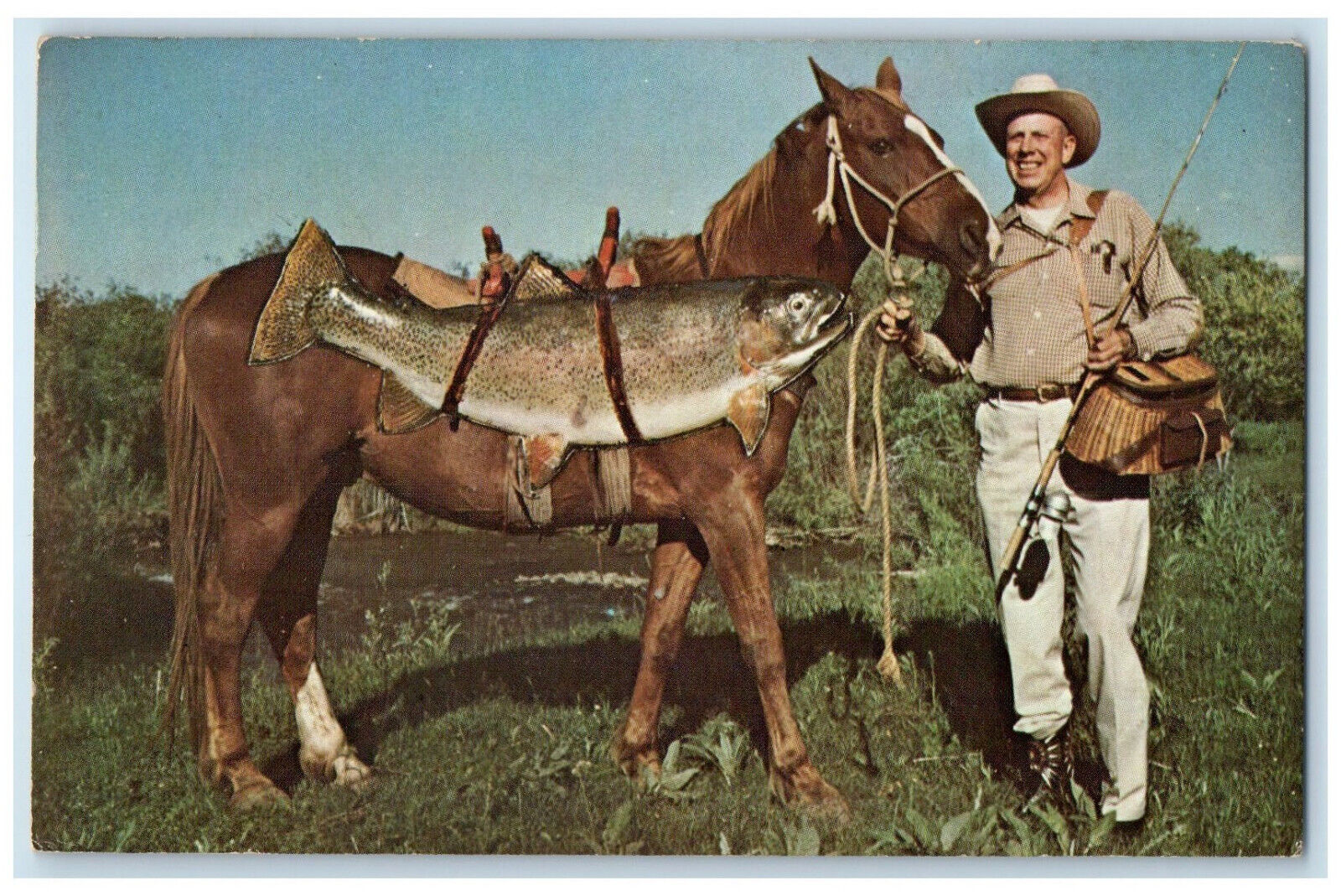 1969 A Jumping Rainbow Ranch Whopper Livingston Montana MT Posted Postcard