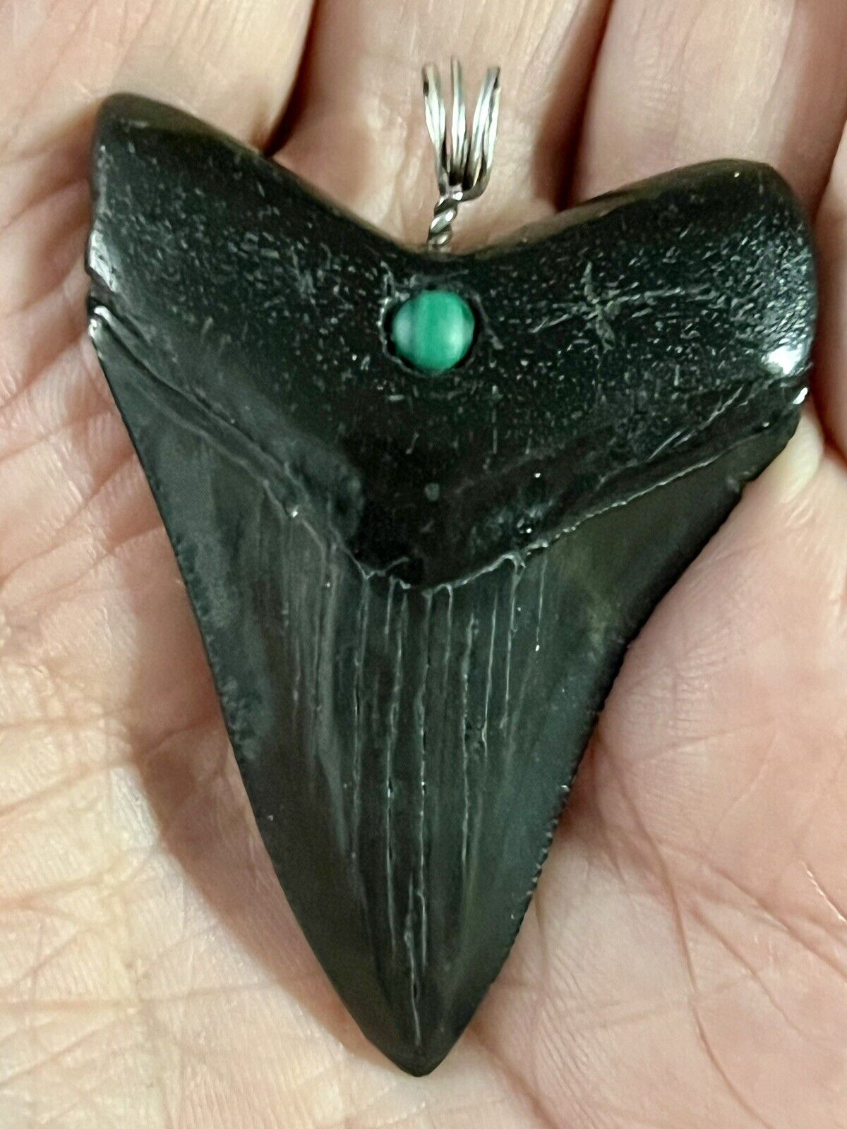 Natural Shark Tooth Fossil Megalodon Pendant