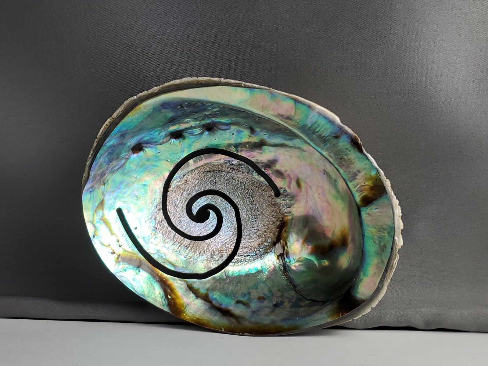 Beautiful Carved Abilone Shell
