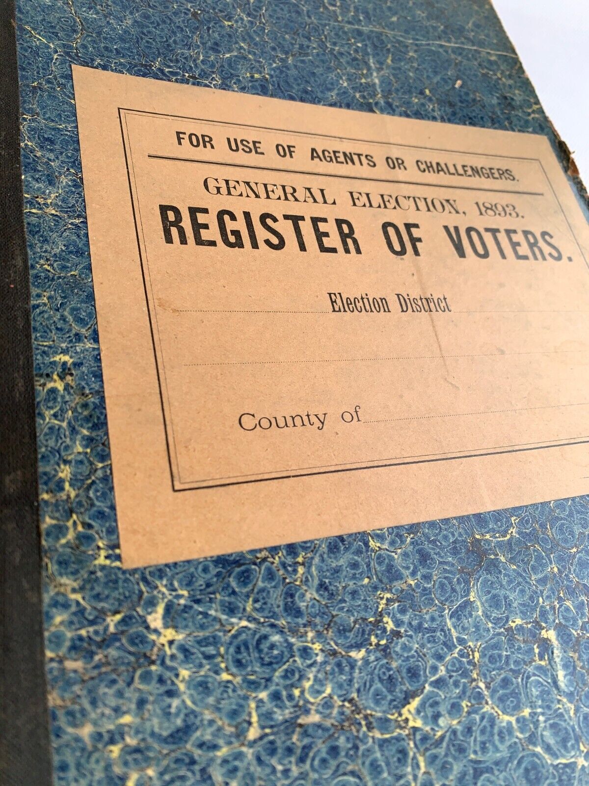 1893 Voter Registration Logbook, Antique Register of Voters, Rare Suffrage Era