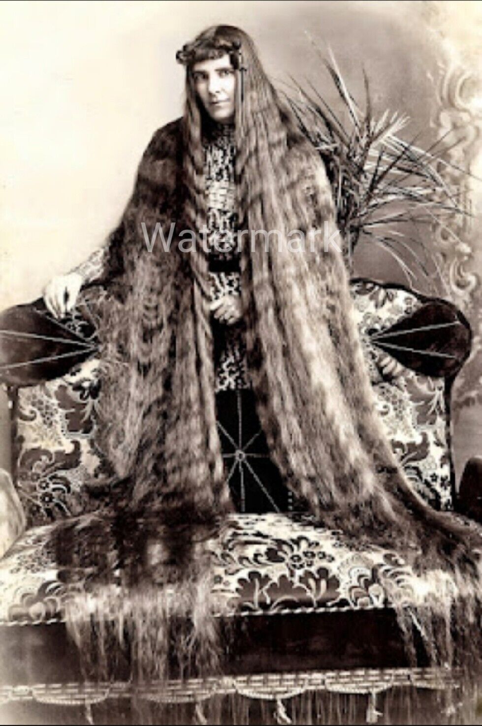 Vintage 1890s Black & White  Reprint Photo of Caucasian Woman Very Long Hair 