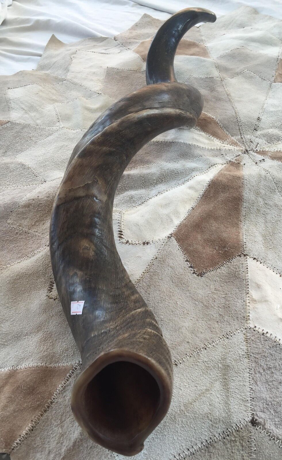 Yemenite Kudu Shofar Horn Full Natural  42-44 Inch Jumbo Size