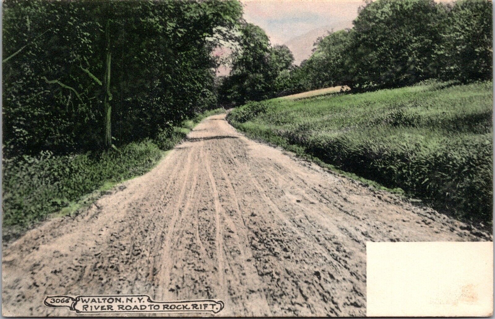 Postcard~Walton New York~River Road to Rock Rift~Country Road~Scenic View~c1906