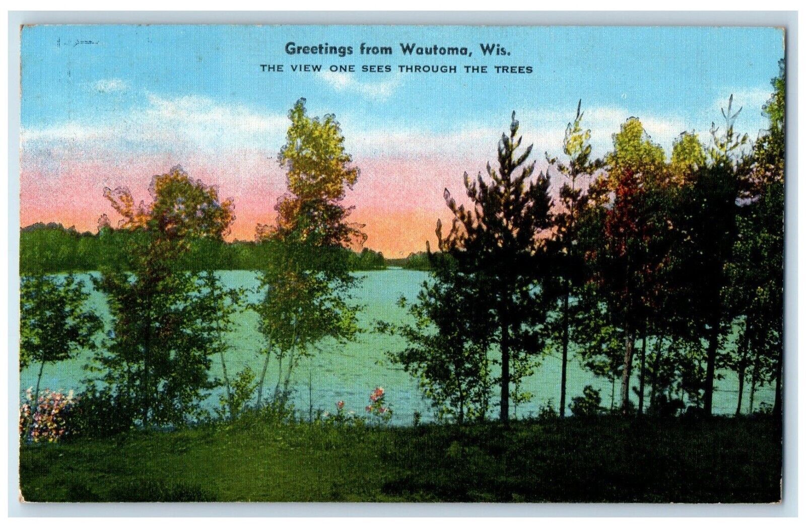 1948 Greetings From Wautoma Wisconsin WI View One Sees Through Trees Postcard