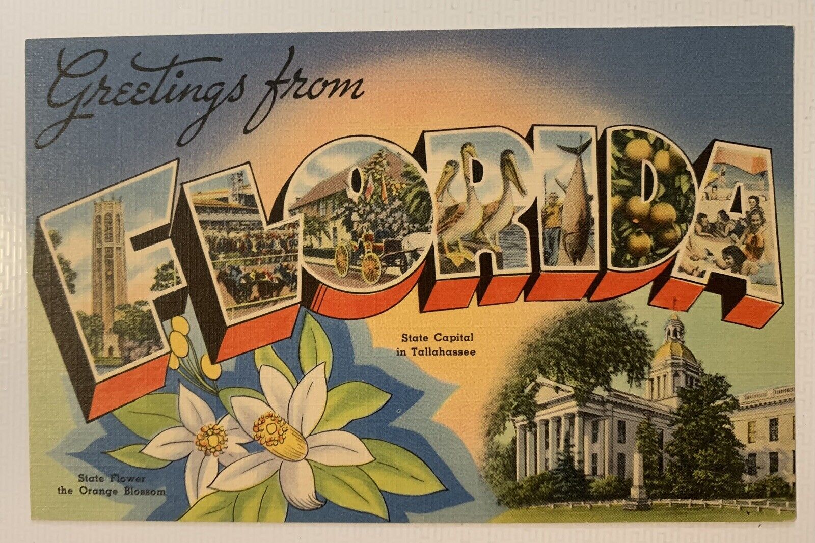greetings from florida vintage linen postcard
