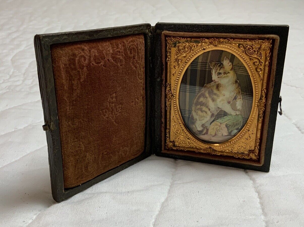 Vintage Antique Victorian Die Cut Ephemera Framed, Full Union Case, Kitty Cat