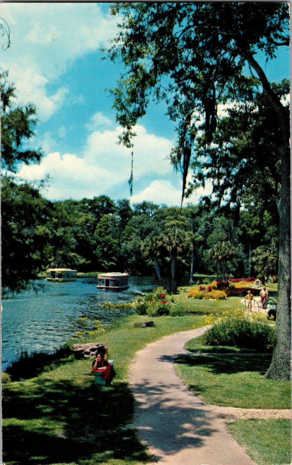 Postcard FL - Dated 1975 Shaded Pathways at Florida\'s Silver Springs