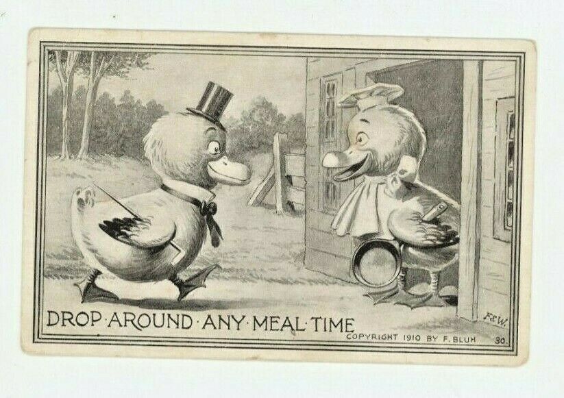 Vintage Postcard HUMOR   DUCKS  DROP AROUND FOR MEAL TIME   POSTED  1910