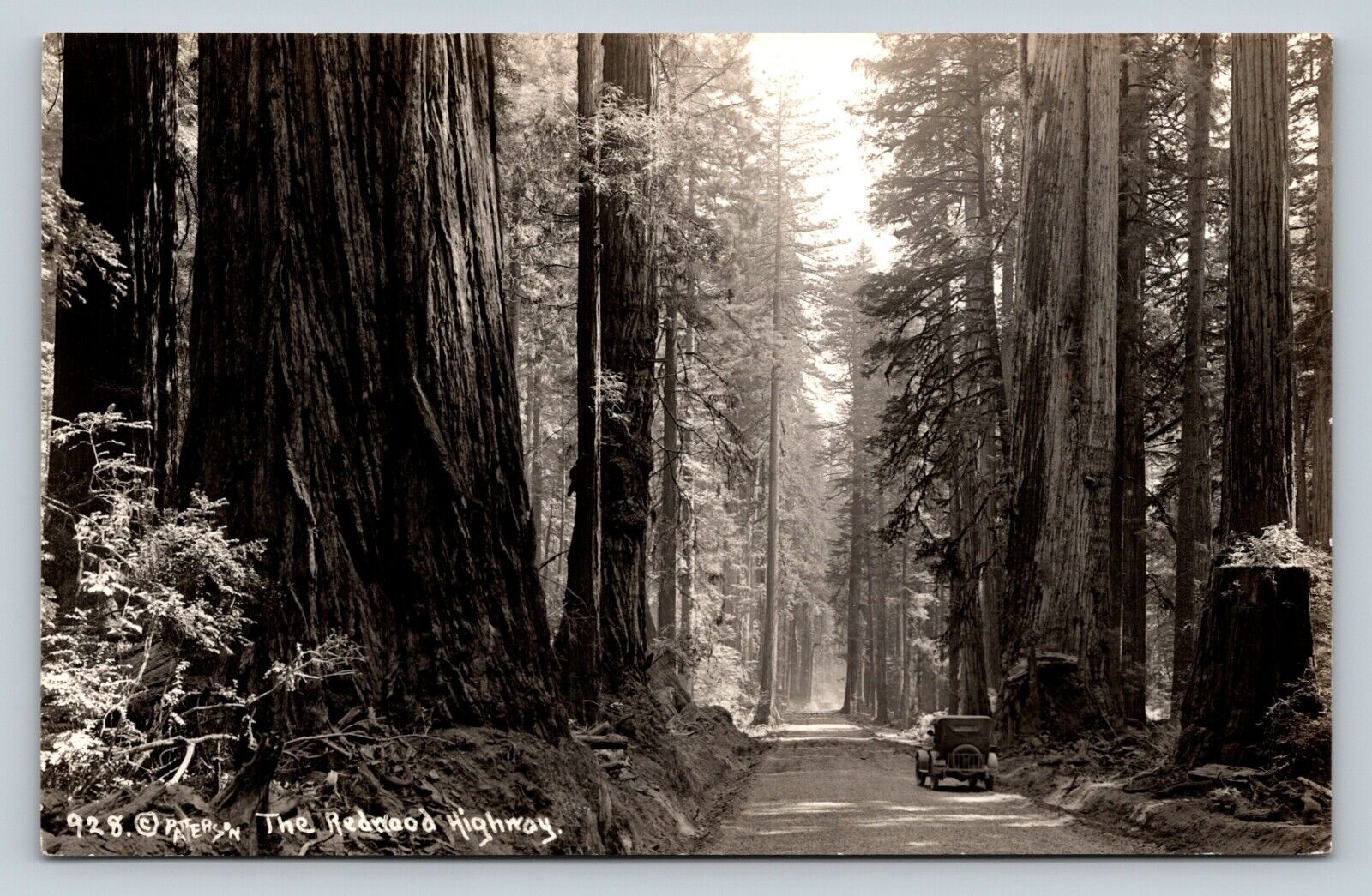 RPPC Redwood Highway Classic Vehicle Dirt Road VINTAGE Postcard EKKP 1904-1950