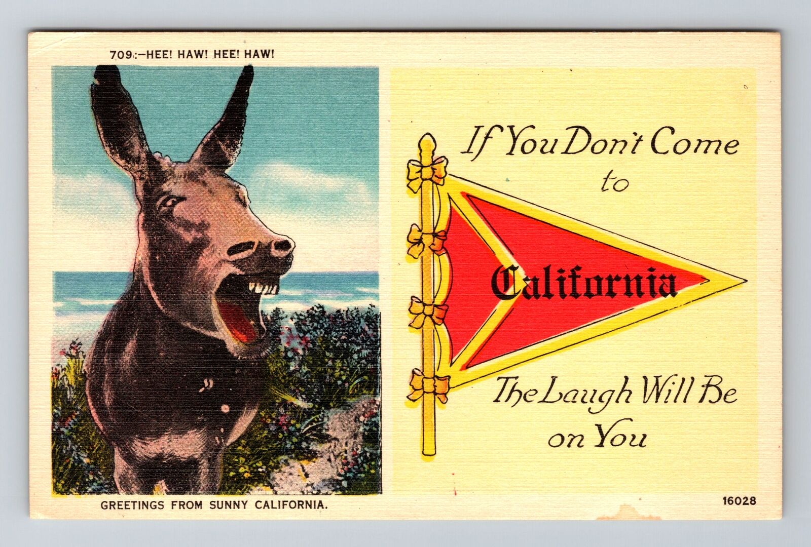 CA-California, Humorous General Greetings, Vintage Souvenir Postcard