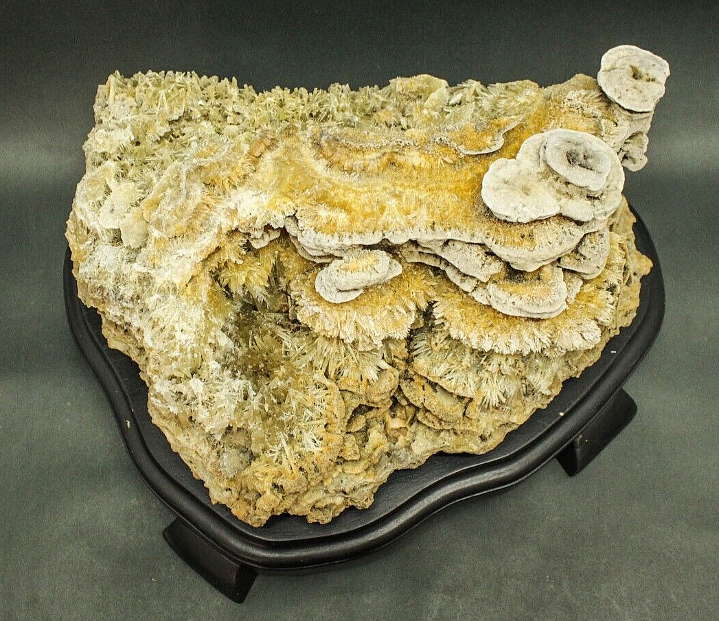 Giant 6,4 Kg Museum Collection Travertine Dripstone Flowstone Specimen Mineral