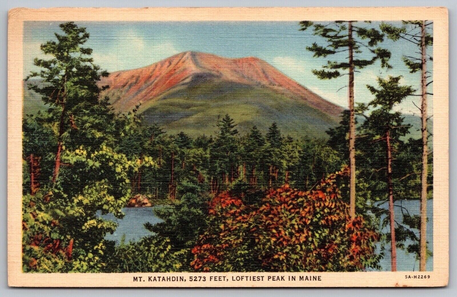Mount Katahdin Loftiest Peak Maine Mountain River Forest Riverfront VNG Postcard