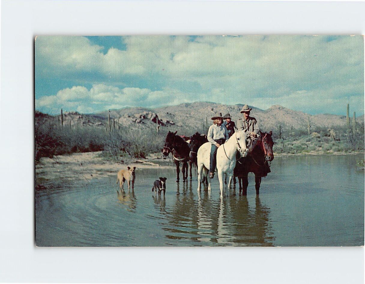 Postcard Cowboys Riding Horses with Dogs in Tow Crossing the River