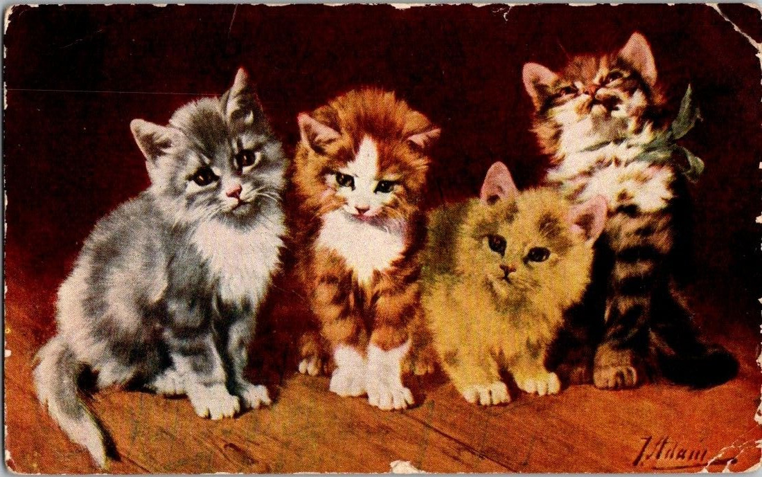 1909 POSTCARD FOUR ADORABLE KITTENS ARTIST SIGNED A7