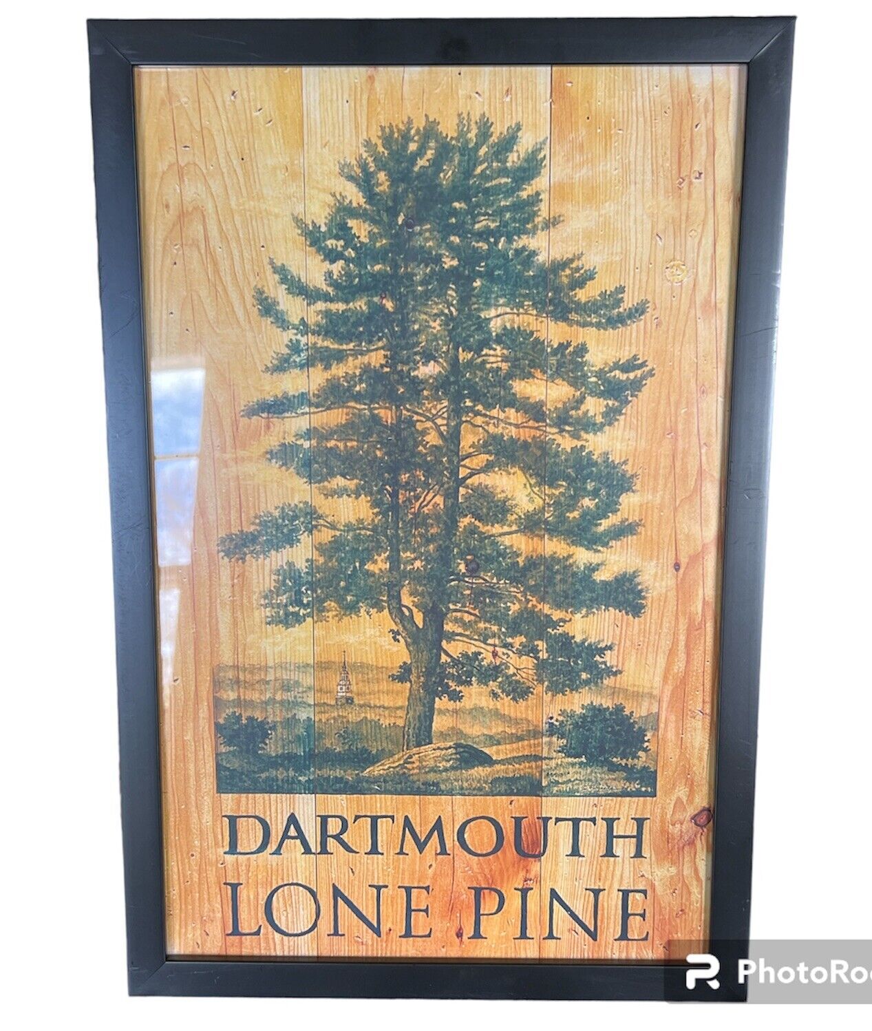 Dartmouth College Lone Pine Framed Art