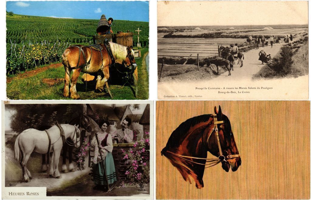 HORSES HORSE 15 Vintage Postcards pre-1940 (L4429)