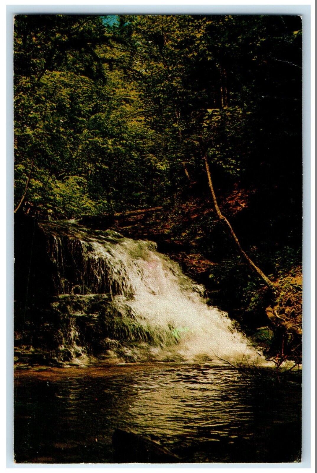 1984 Waterfall Along Turkey Path Leonard Harrison State Pennsylvania PA Postcard