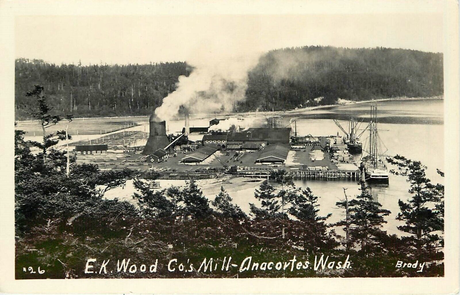 Postcard RPPC 1920 Washington Anacortes Lumber Sawmill Logging WA24-619