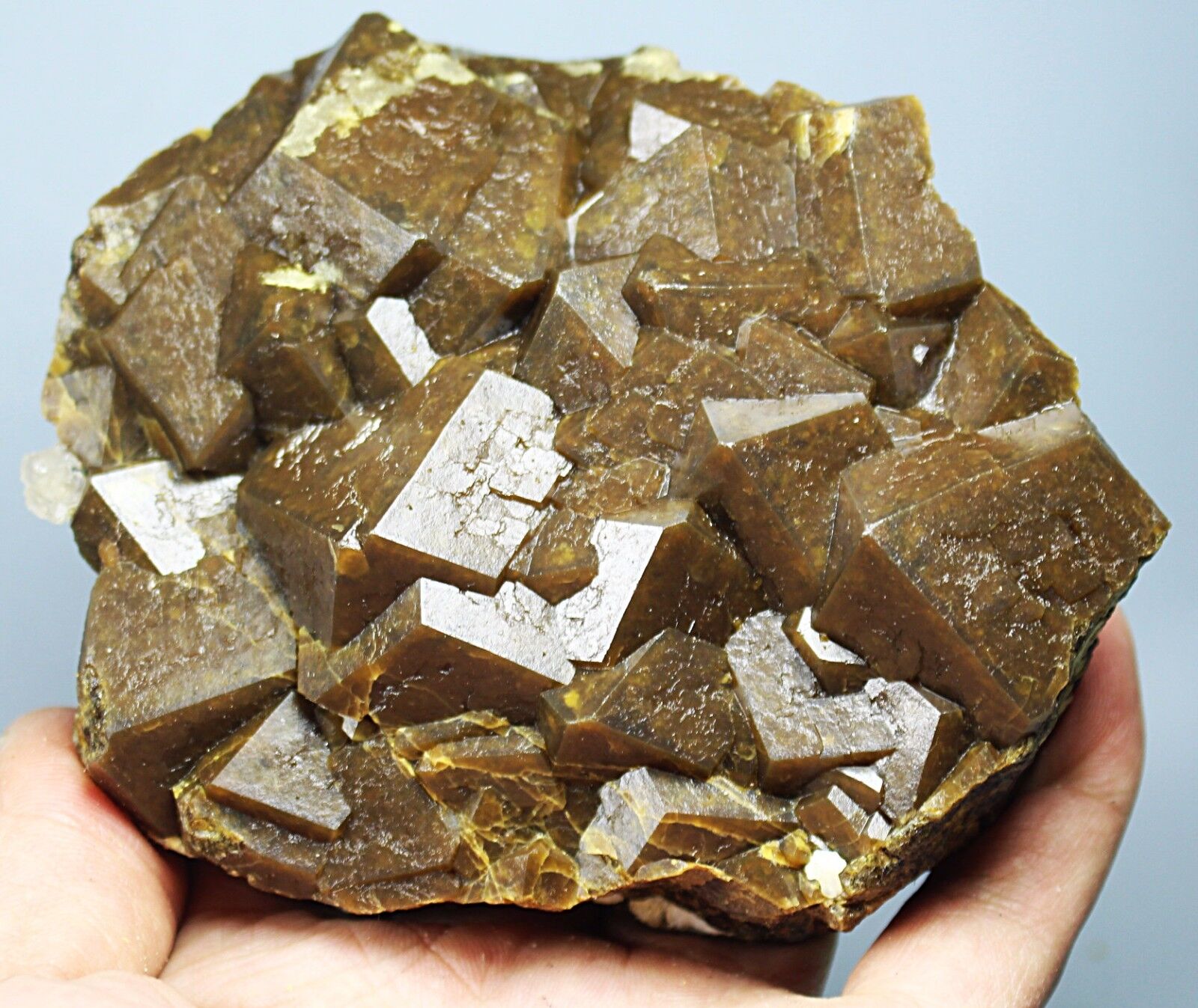 Natural Beauty Rare Cubic Andradite Garnet Crystal Mineral Specimens/China