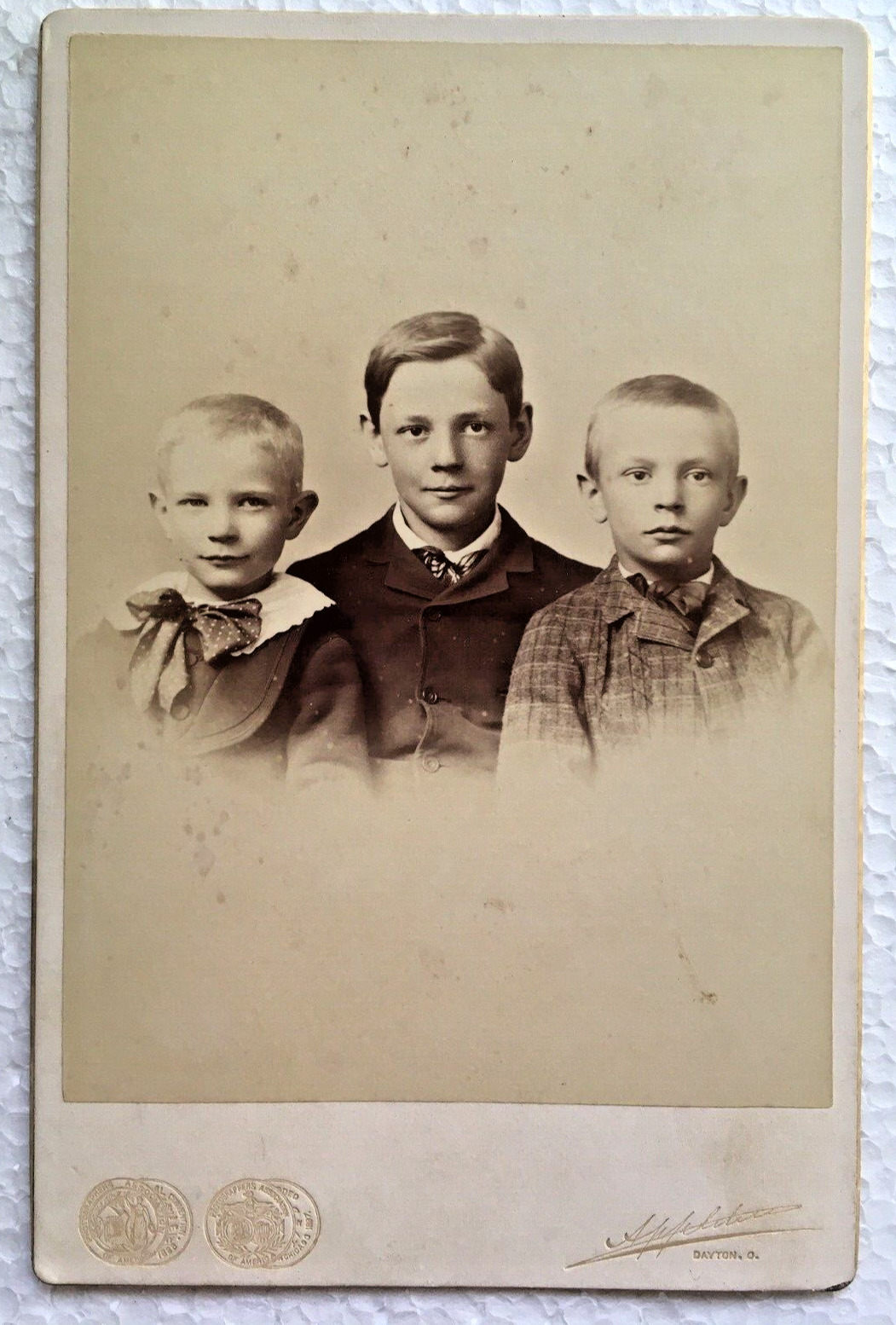Antique Cabinet Card 3 Young Boys Children Portrait Brothers Dayton Ohio