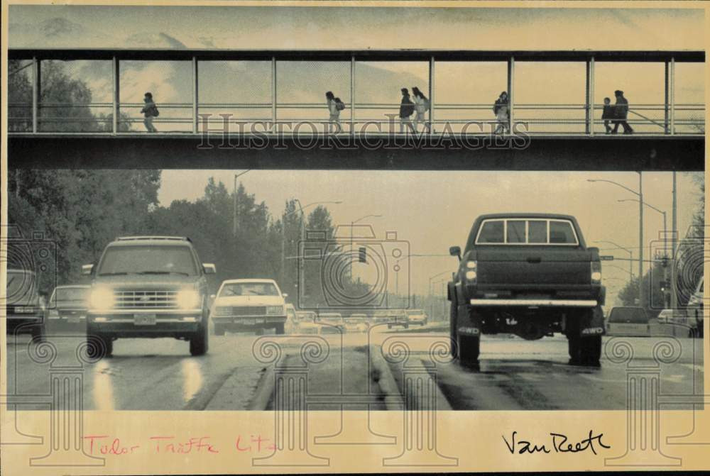 1990 Press Photo People walking above highway traffic - lrb25590