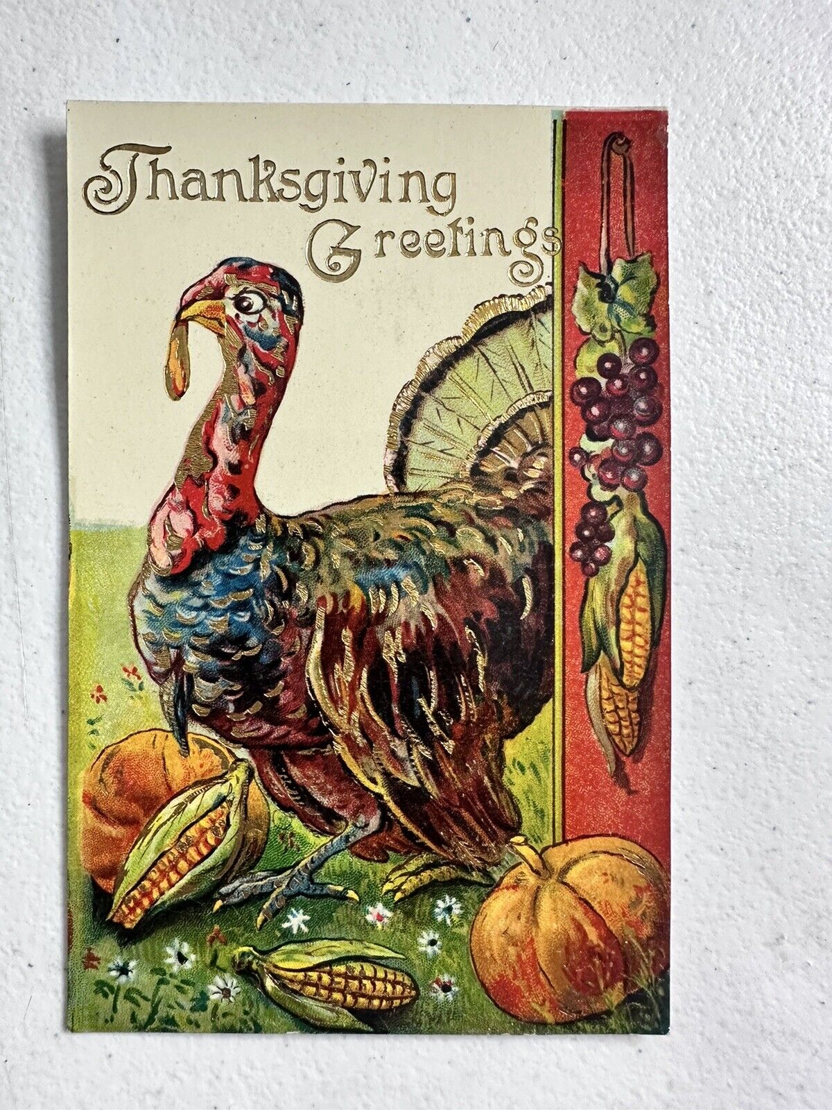 1910s Thanksgiving Postcard, Turkey Motif, Embossed, Collectible Holiday Card