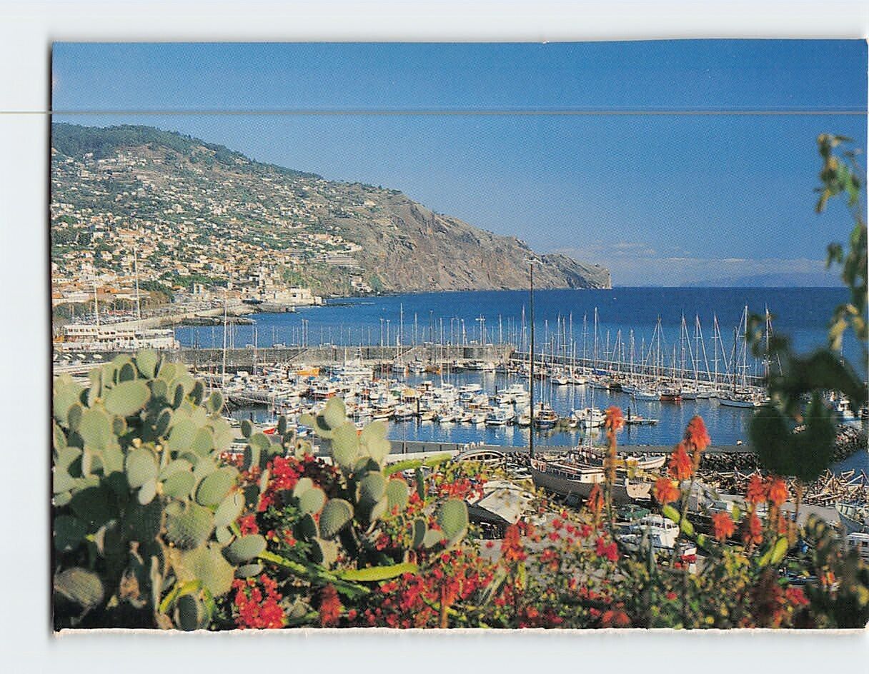 Postcard General view of the Marina Funchal Portugal