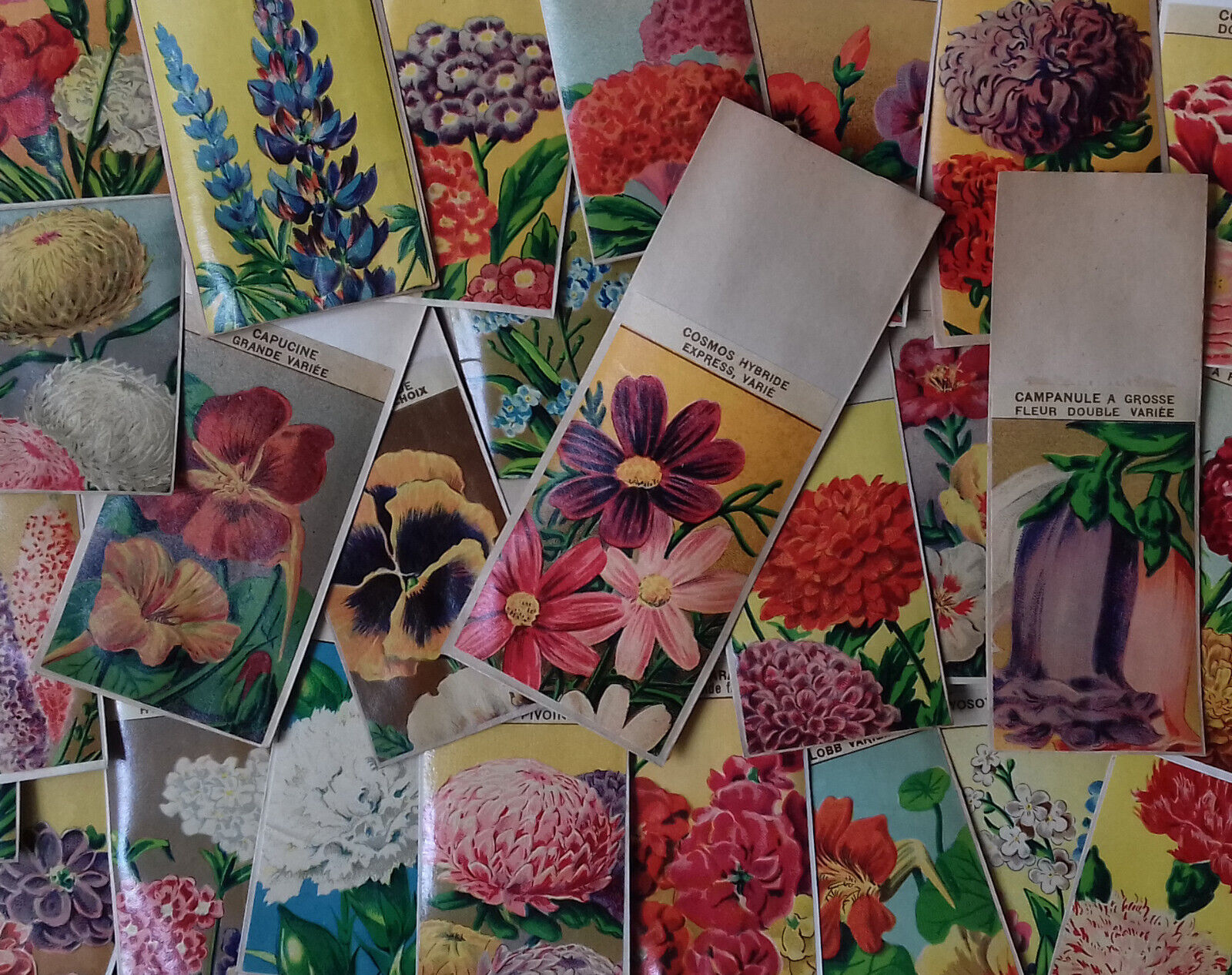 27 FLOWER Seed Packets vintage French all different
