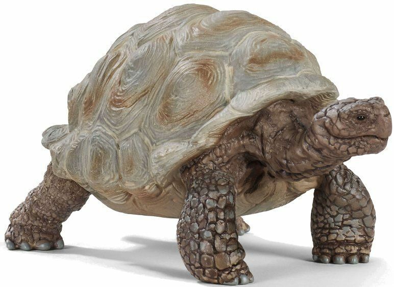 Giant tortoise 14824 sweet tough Schleich anywheres a playground