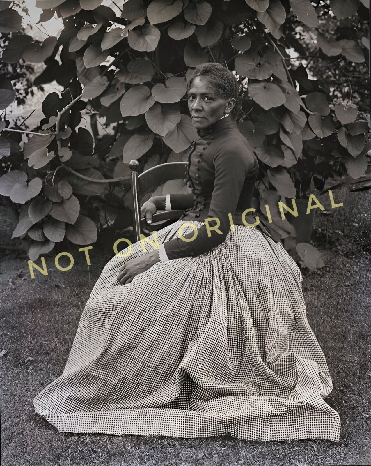 Vintage 1890s Photo Reprint of Victorian Era African American Woman Hoop Dress