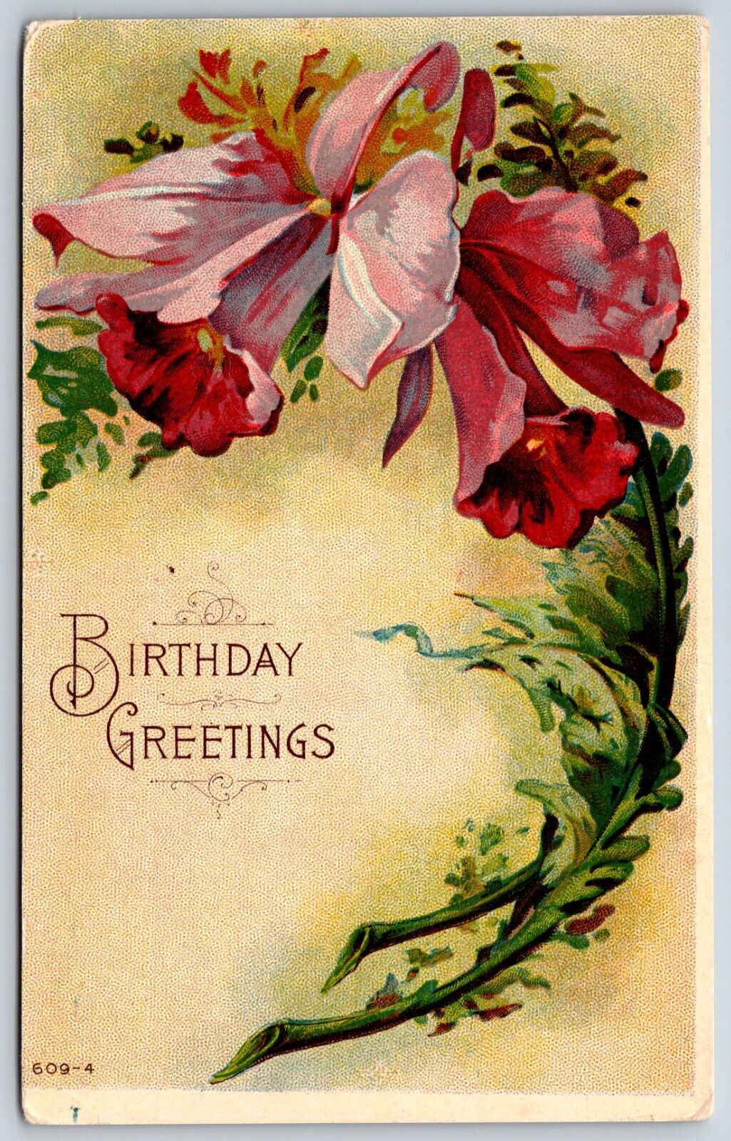 Postcard Birthday Greetings Flowers Unposted