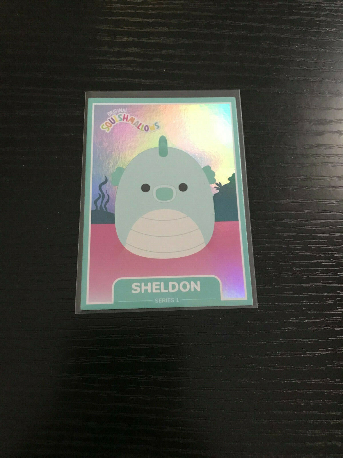 Sheldon 2021 Squishmallows Holo Series One Trading Card Food Squad