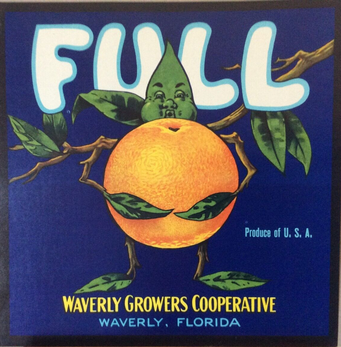Vintage original 1940s FULL Waverly Growers Coop Florida Orange Label leaf man