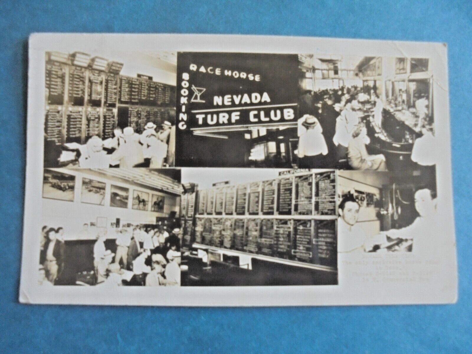 Vintage 1949 Reno Nevada Turf Club Race Horse Booking Gambling Postcard