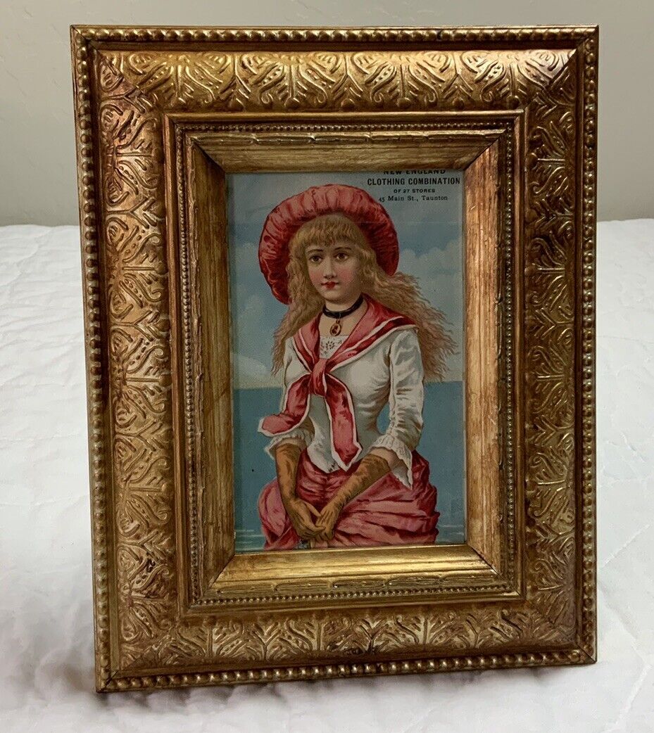 Vintage Antique Framed Victorian Trade Card, Girl By The Sea, Pink, Blue