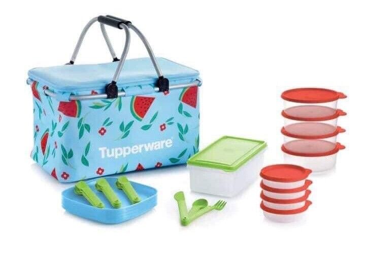 Tupperware New Host Exclusive Collection Summer Picnic Basket Set & Bowls Plates