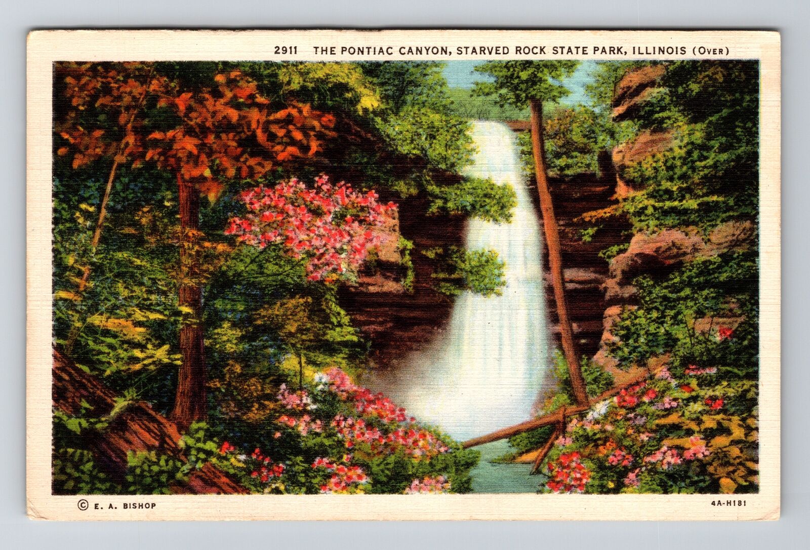 Starved Rock State Park IL-Illinois, The Pontiac Canyon, Vintage Postcard
