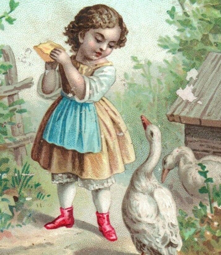 1870\'s CDV Album Filler Card Adorable Child & Ducks P201