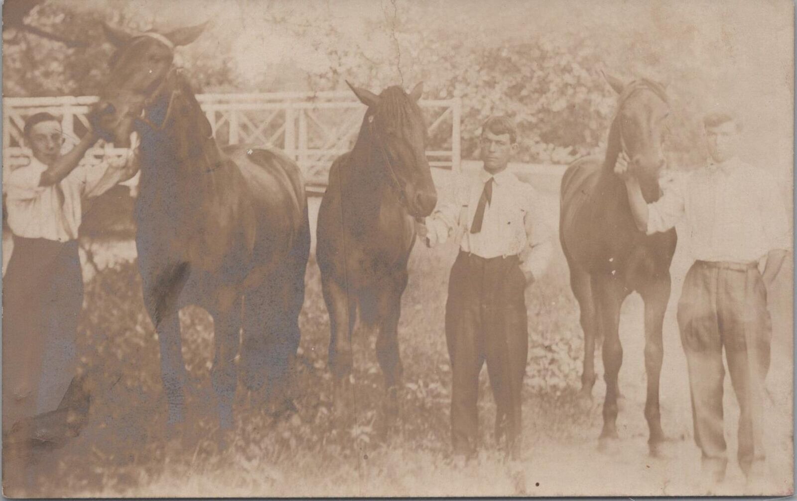 RPPC Postcard Men Holding Three Horses c. 1900s