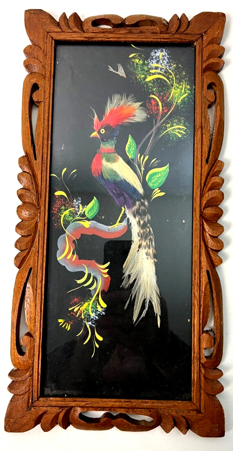 Vintage Mexican Folk Art Feathercraft Feather Bird Carved Frame 18\