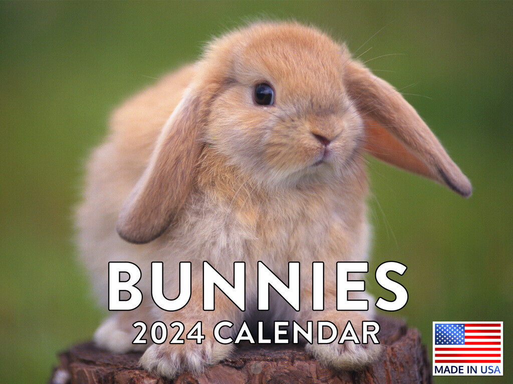 Bunny Gifts For Rabbit Lovers Monthly Calander 2024 Wall Calendar 