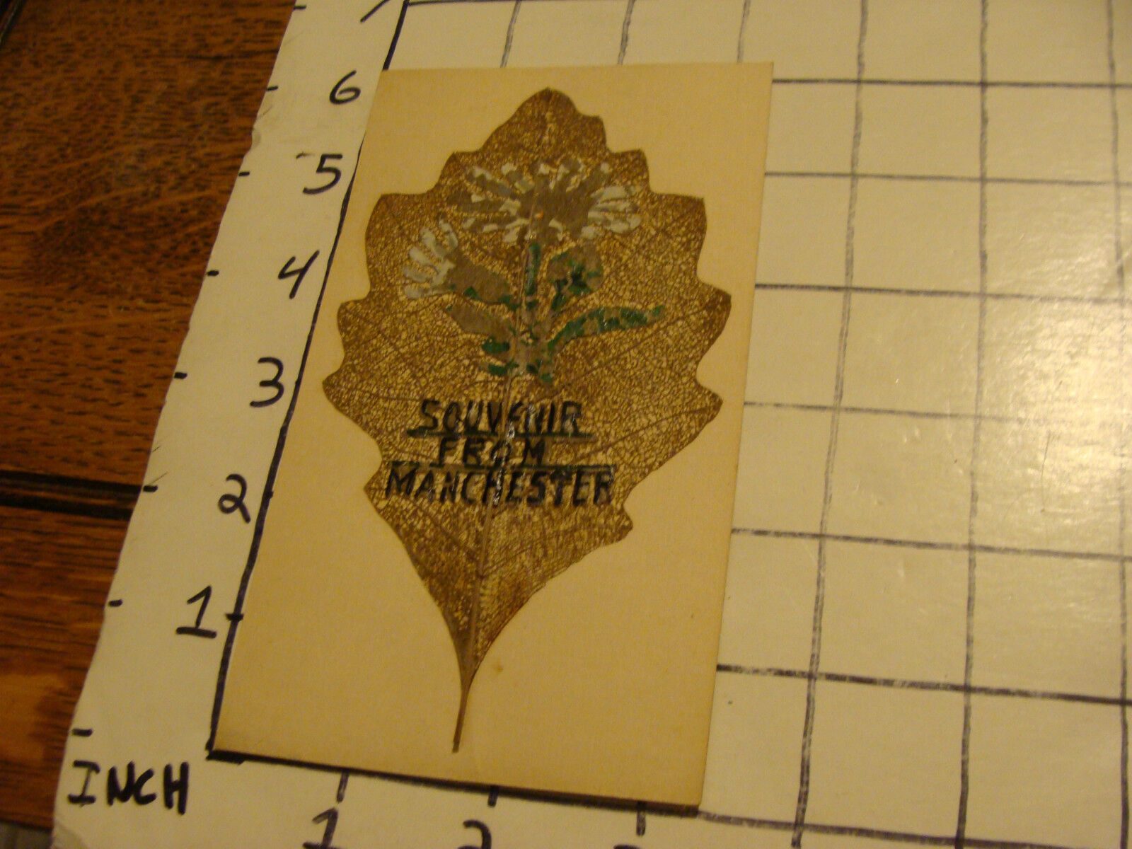 vintage UNUSED postcard: souvenir from Manchester REAL LEAF AND STUFF ON TOP