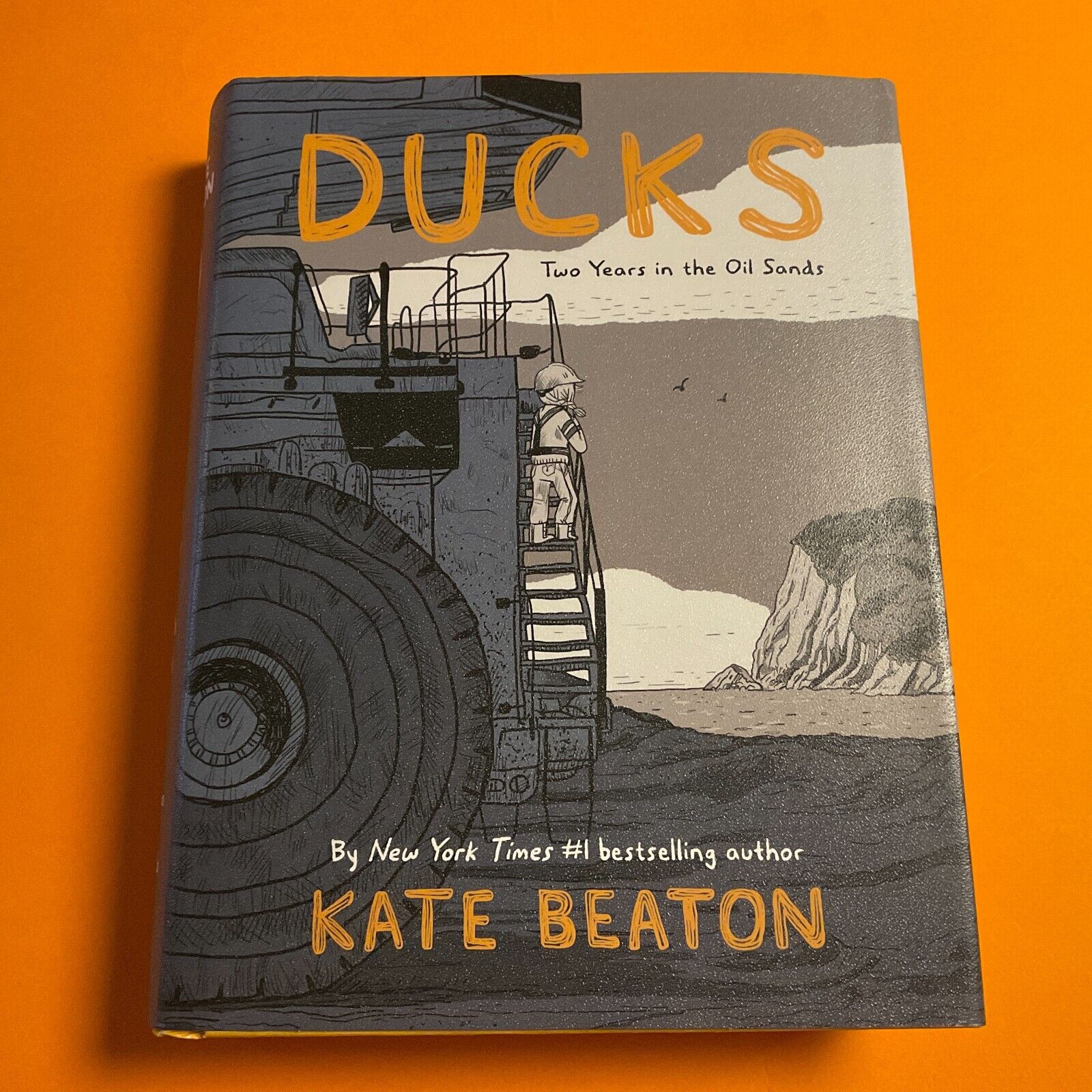 Ducks: Two Years in the Oil Sands Kate Beaton (Drawn & Quarterly) Hardcover