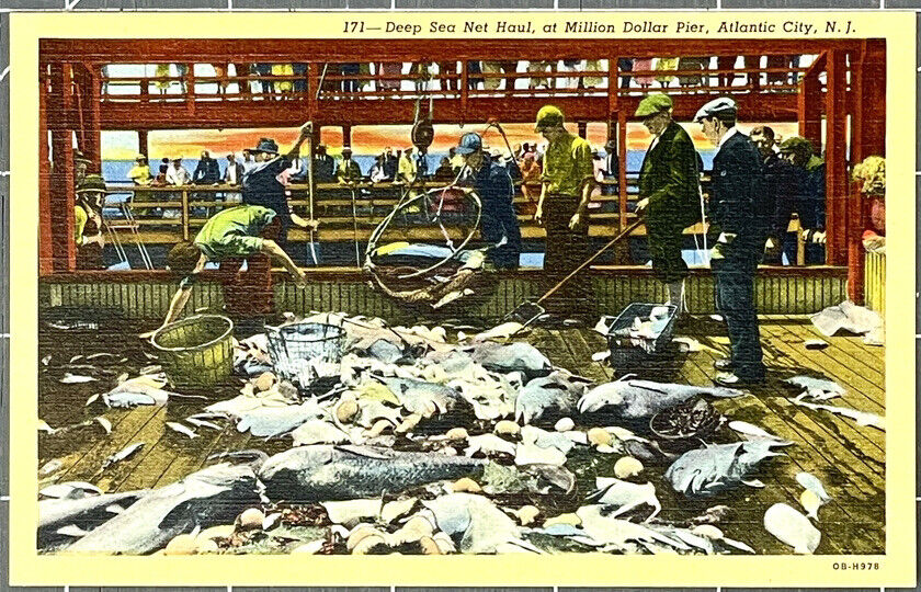 New Jersey Atlantic City NJ Million Dollar Pier Net Haul Fishing 1940s Postcard