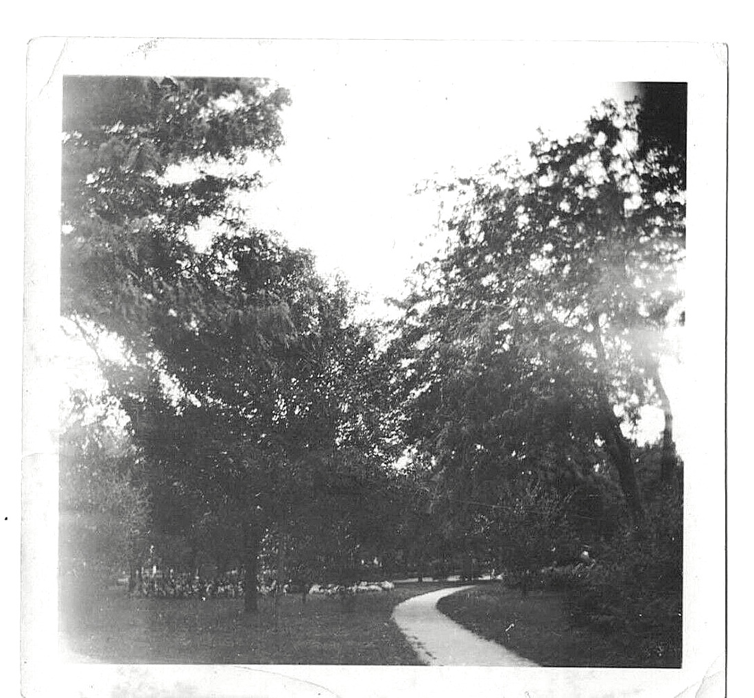 Vintage 1924 Photo Trees ?Park Rice County Kansas 3.5 x 3.5 Black & White Glossy