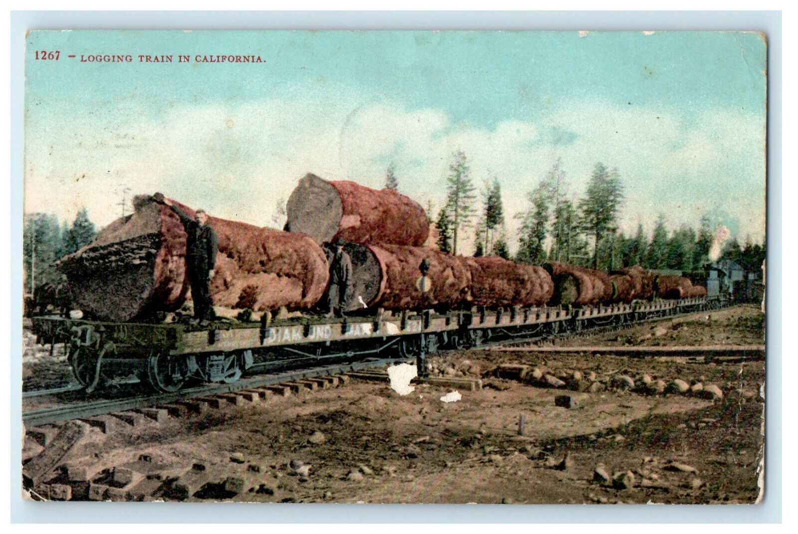 1910 Log In Trains, Santa Cruz, California CA Posted Antique Postcard