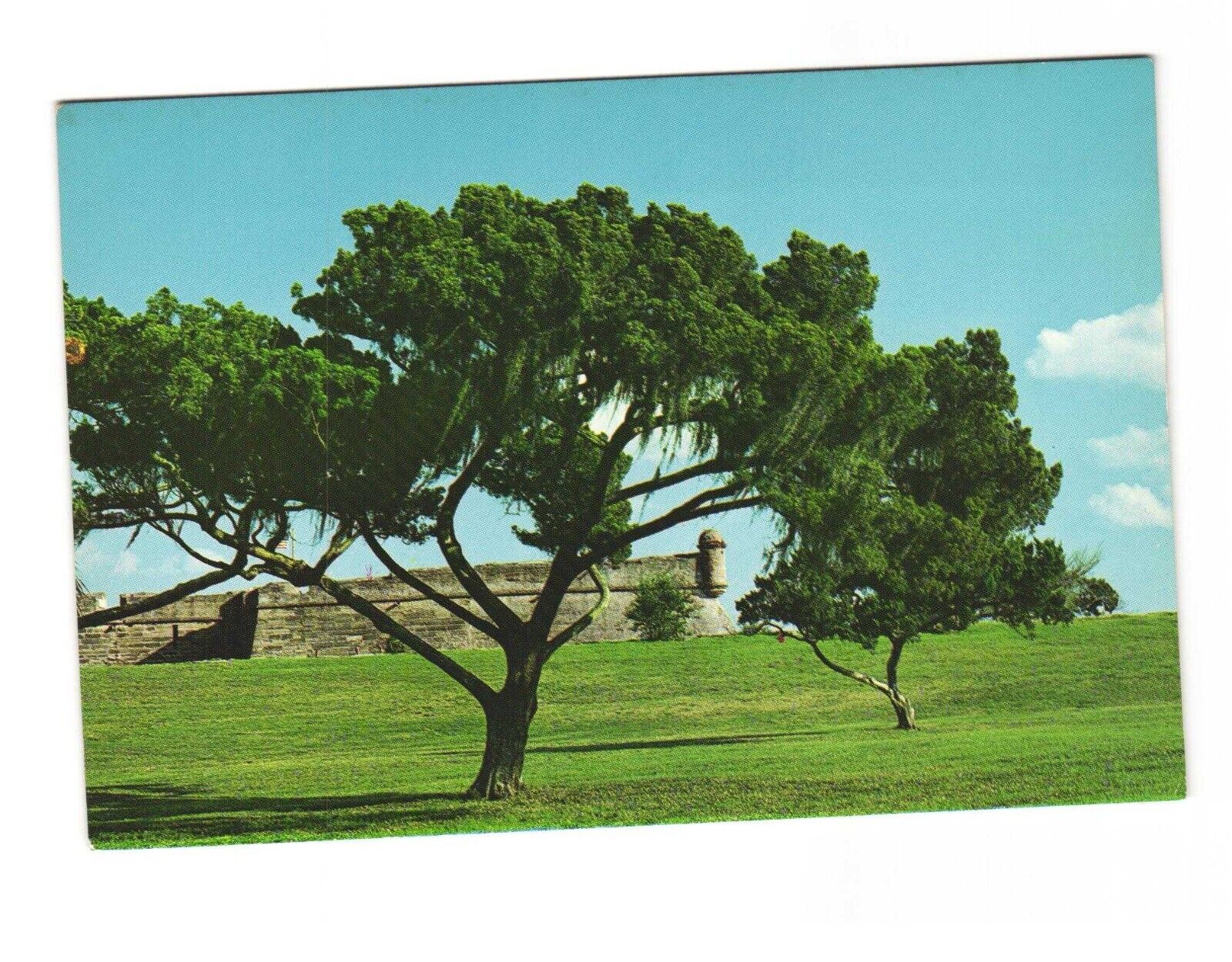 Castillo De San Marcos National Monument St Augustine Florida Postcard Unposted