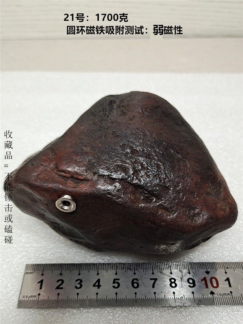 1700g Natural Iron Meteorite Specimen from   China   21#